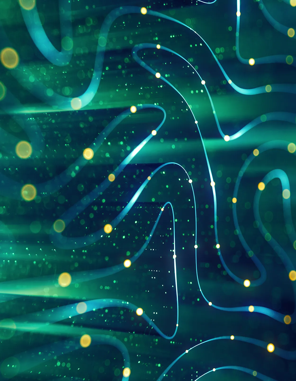 Focus Industry and Region